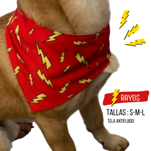 Pañoleta "Rayos"