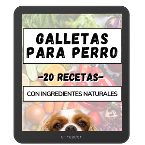 20 recetas naturales