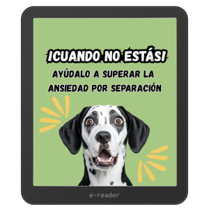 Ebook-Ansiedad por separación.