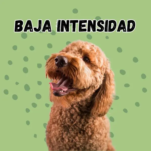 BAJA INTENSIDAD