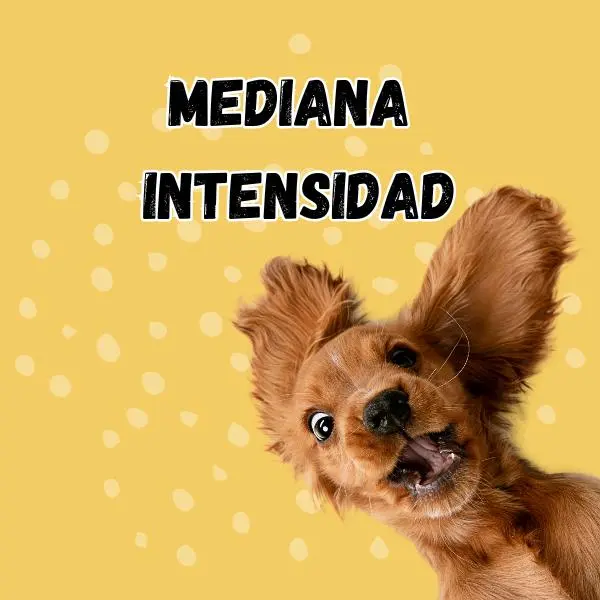 MEDIANA INTENSIDAD