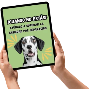 Ebooks