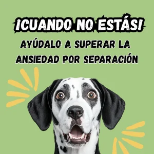 ¡Cuando no estás! Guía para la ansiedad por separación en perros
