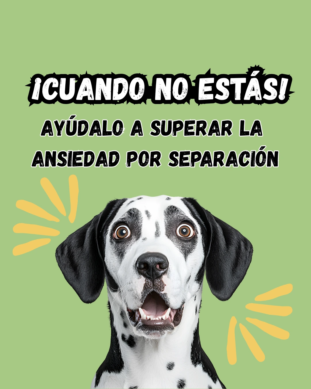 Portada del ebook ¡Cuando no estás!