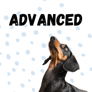 Advanced Training