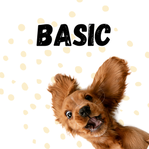 Basic Training